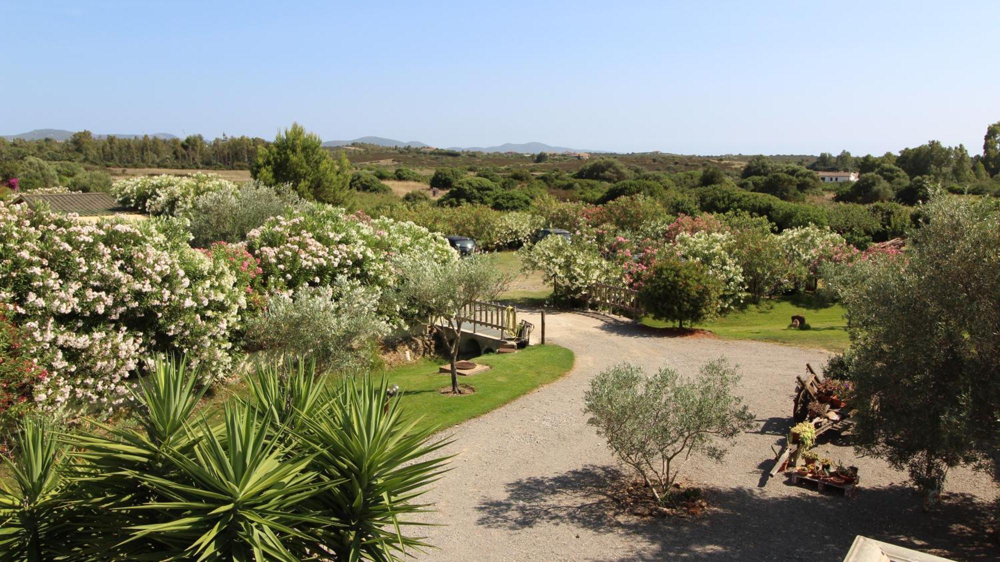 Casa Vacanze Giovanna SantʼAnna Arresi Esterno foto