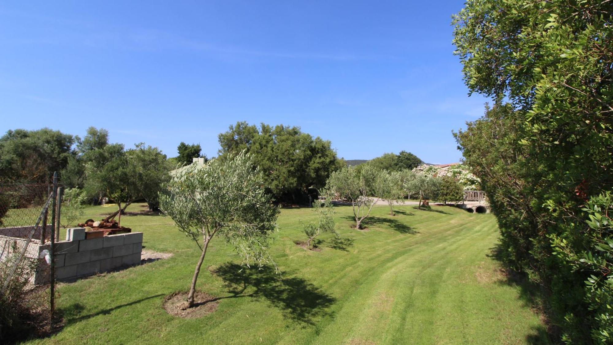 Casa Vacanze Giovanna SantʼAnna Arresi Esterno foto